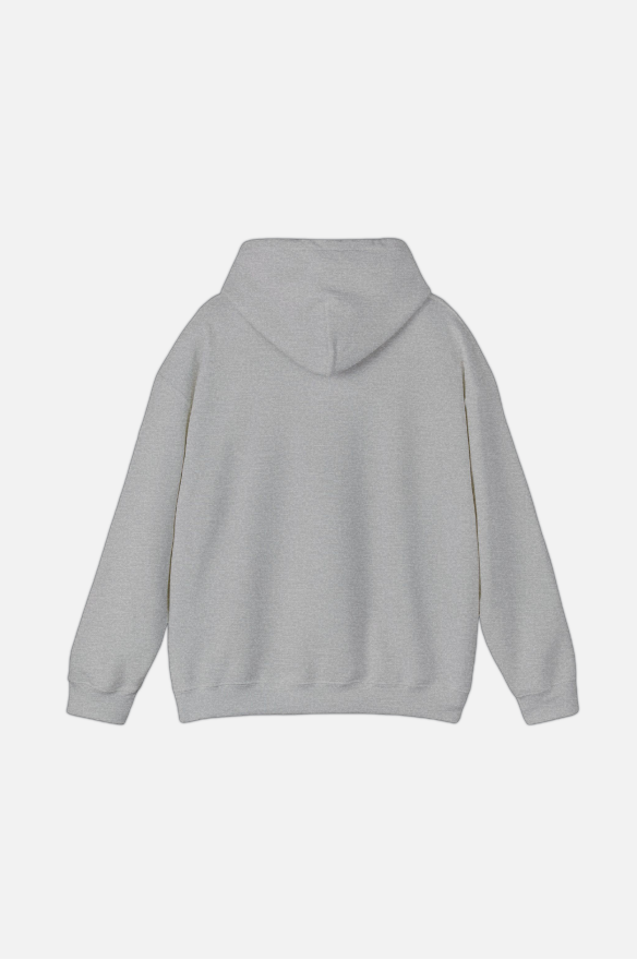 BUTTERFLY EFFECT GREY HOODIE