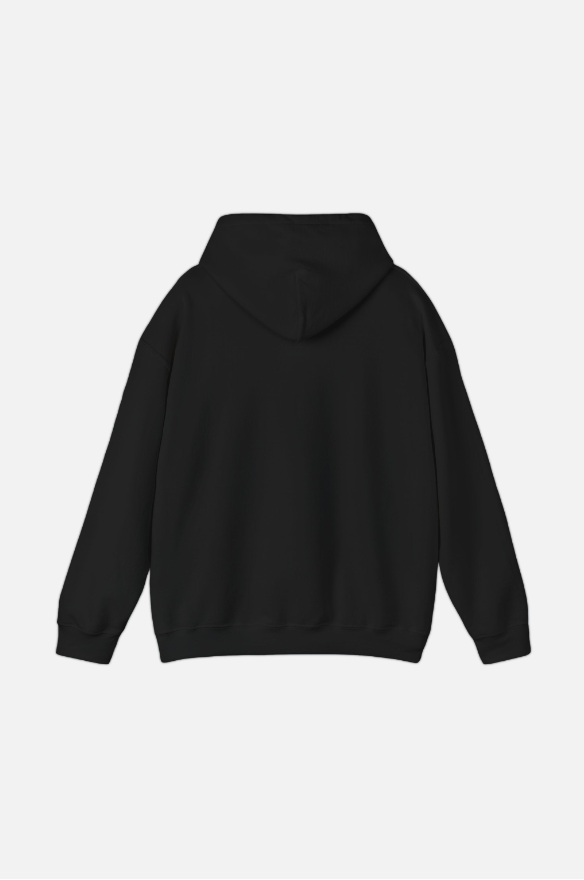 METALIC BLACK HOODIE